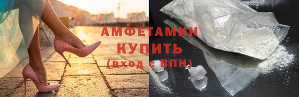 ПСИЛОЦИБИНОВЫЕ ГРИБЫ Инта