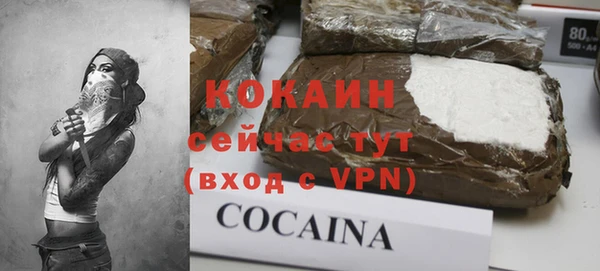 ПСИЛОЦИБИНОВЫЕ ГРИБЫ Инта