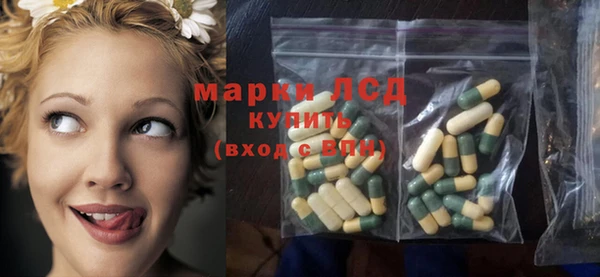 ПСИЛОЦИБИНОВЫЕ ГРИБЫ Инта