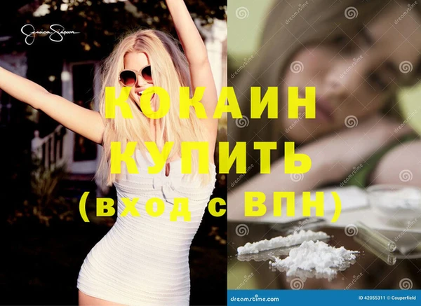 ПСИЛОЦИБИНОВЫЕ ГРИБЫ Инта