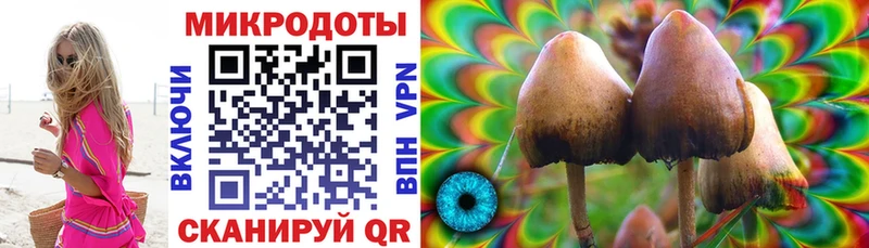 Галлюциногенные грибы Psilocybe  закладки  Собинка 